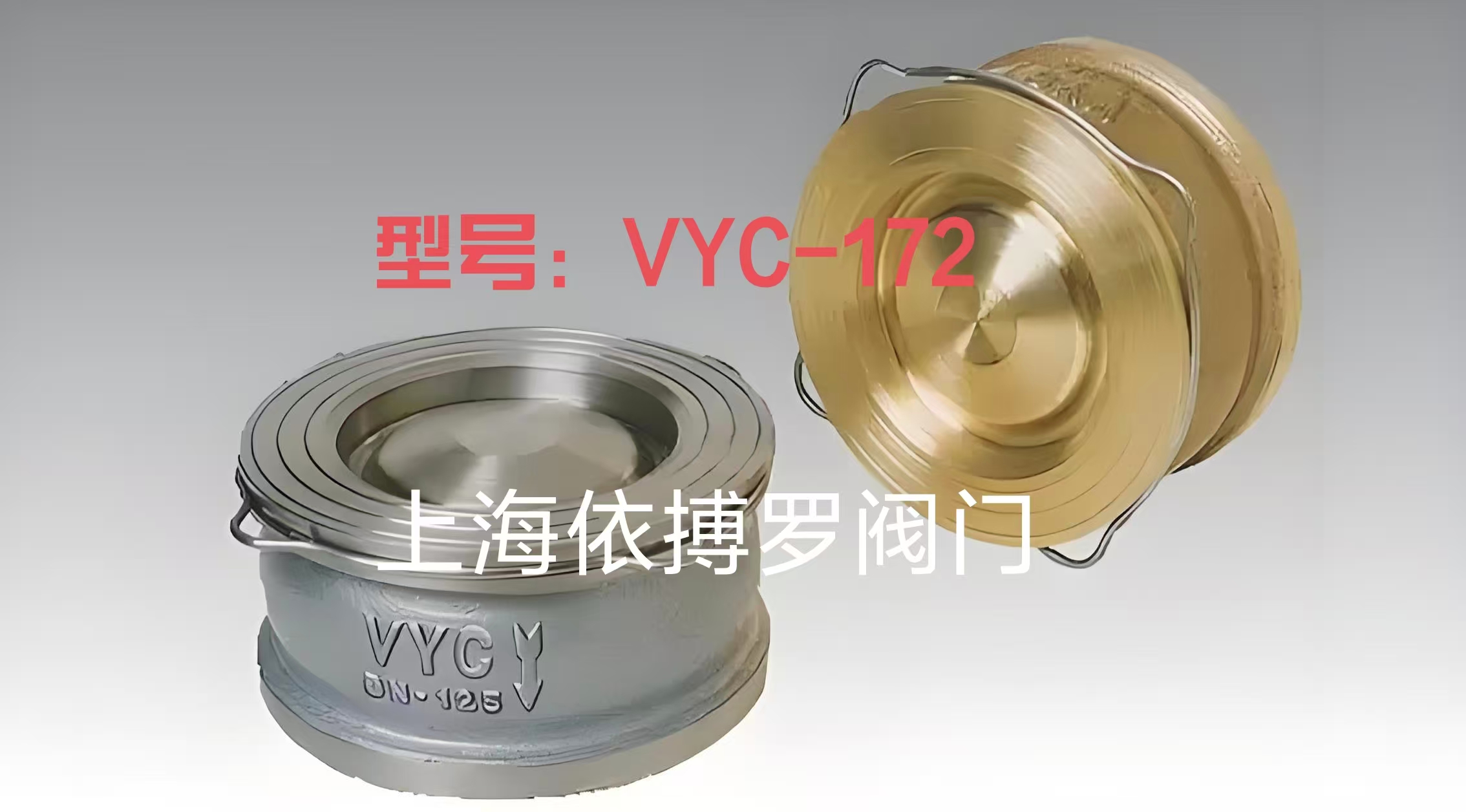 正品销售西班牙VYC-172对夹式止回阀