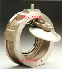 美国博雷(Bray)止回阀Check Rite