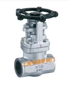 保证正品德国KSB不锈钢丝口闸阀