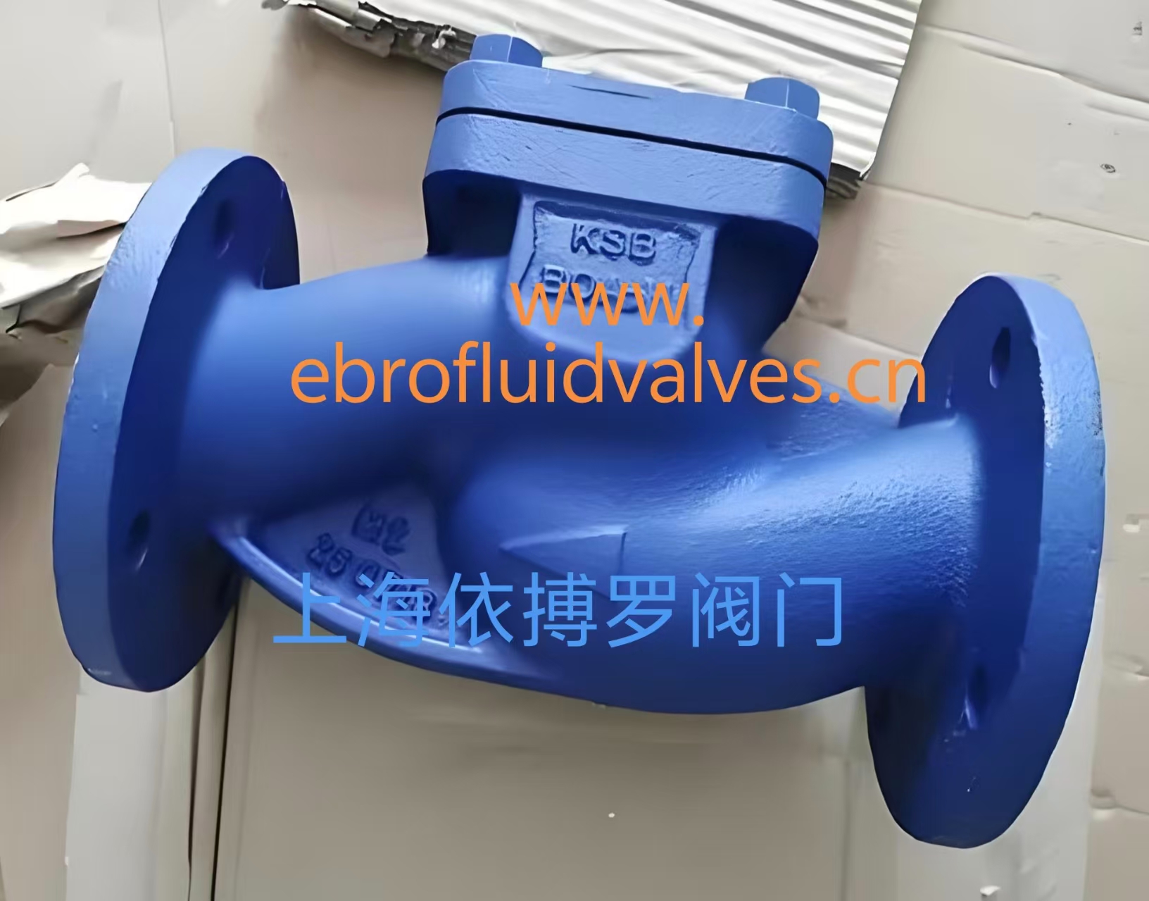 原装正品凯士比法兰式BOA-R单向阀