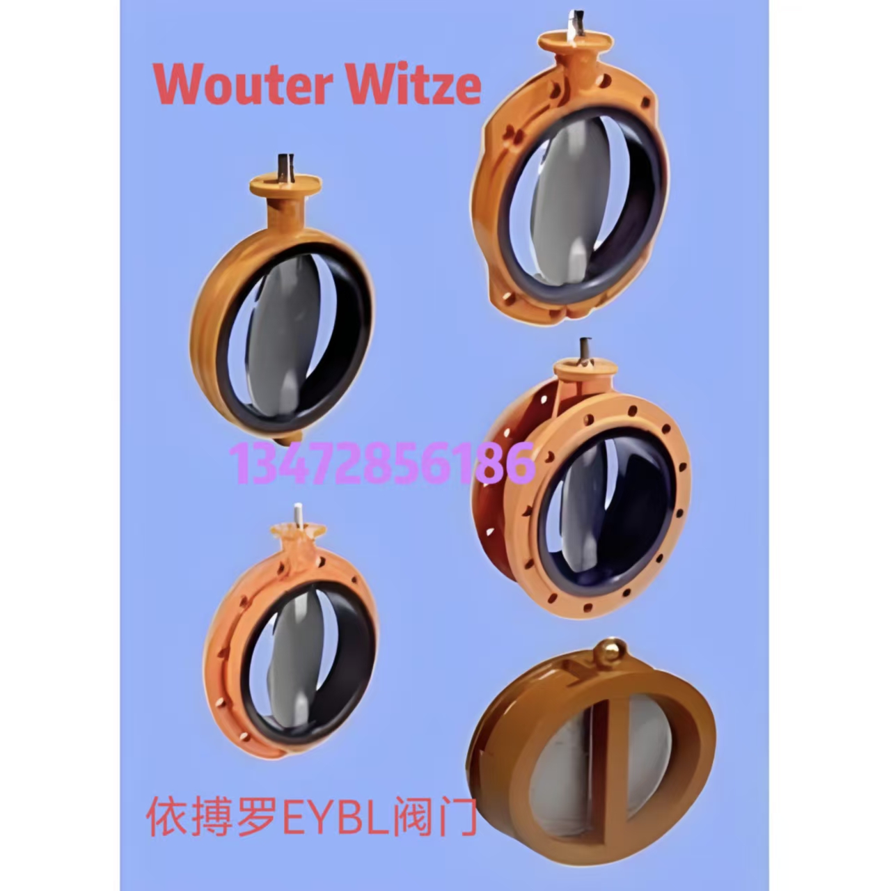 原装直销荷兰WOUTER WITZEL蝶阀