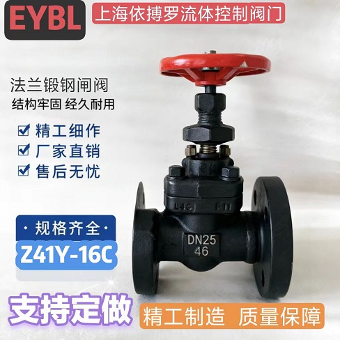上海依搏罗Z41Y法兰锻钢闸阀