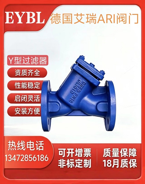 原装正品德国艾瑞ARI法兰过滤器Y型